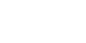 delta airline